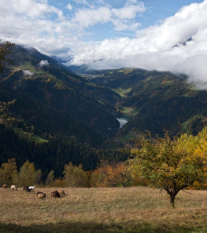 Ultental_CHL5172_800x900